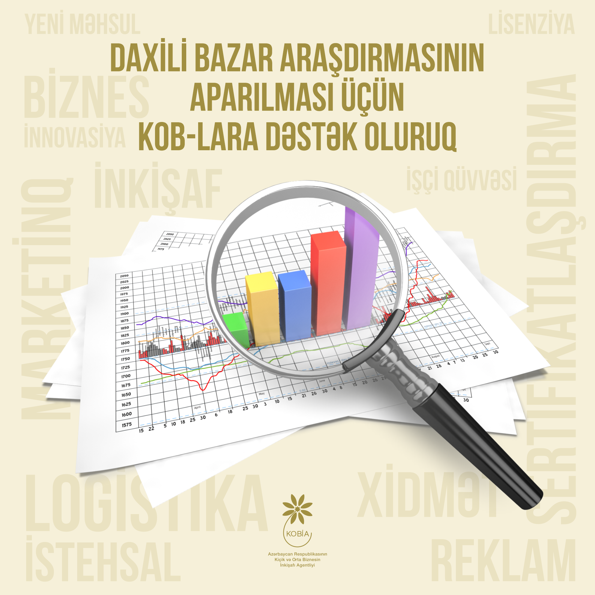 Internal market research conducted for entrepreneurs in 7 areas 