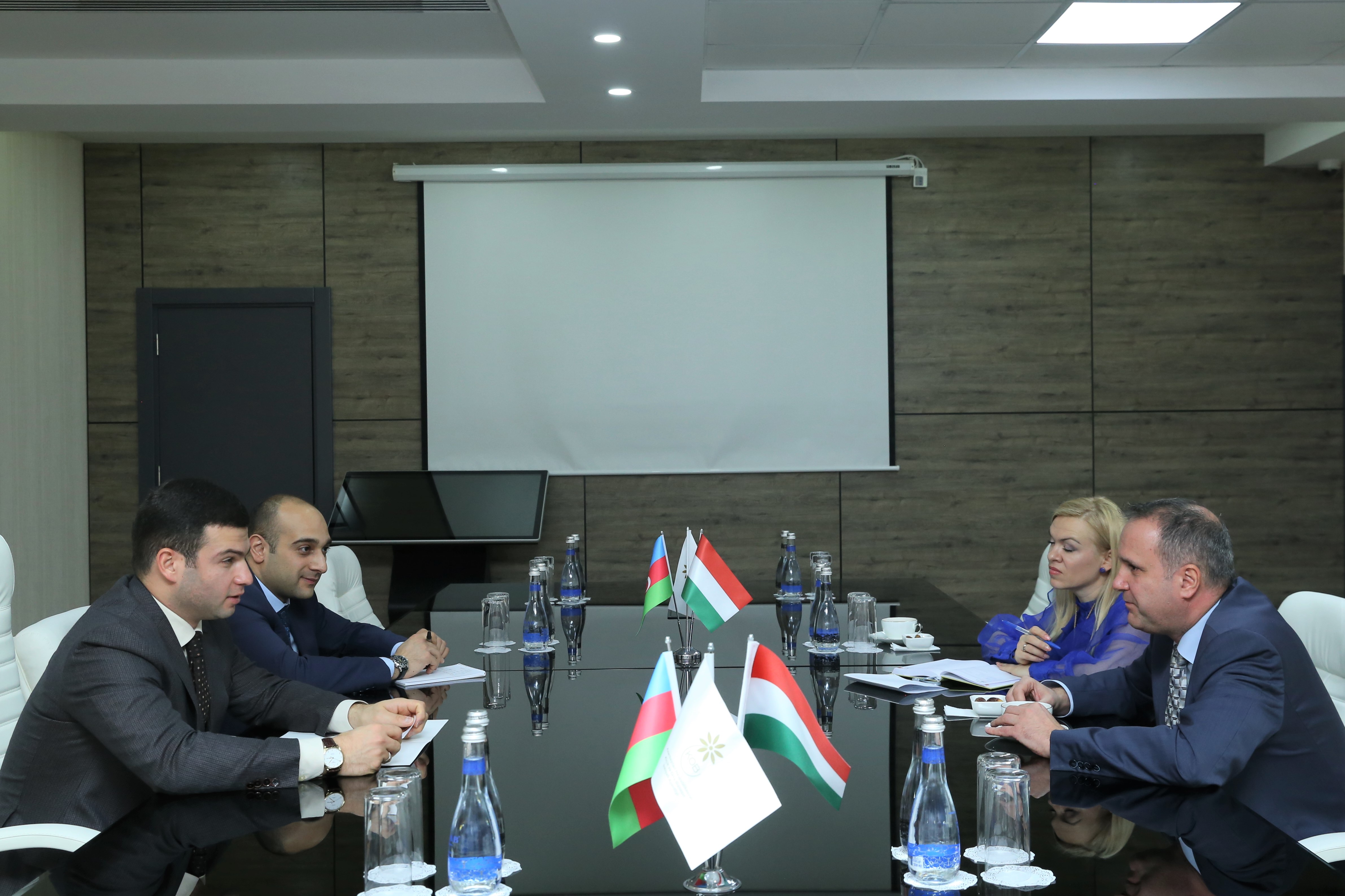 A meeting held with Hungarian Ambassador to Azerbaijan 