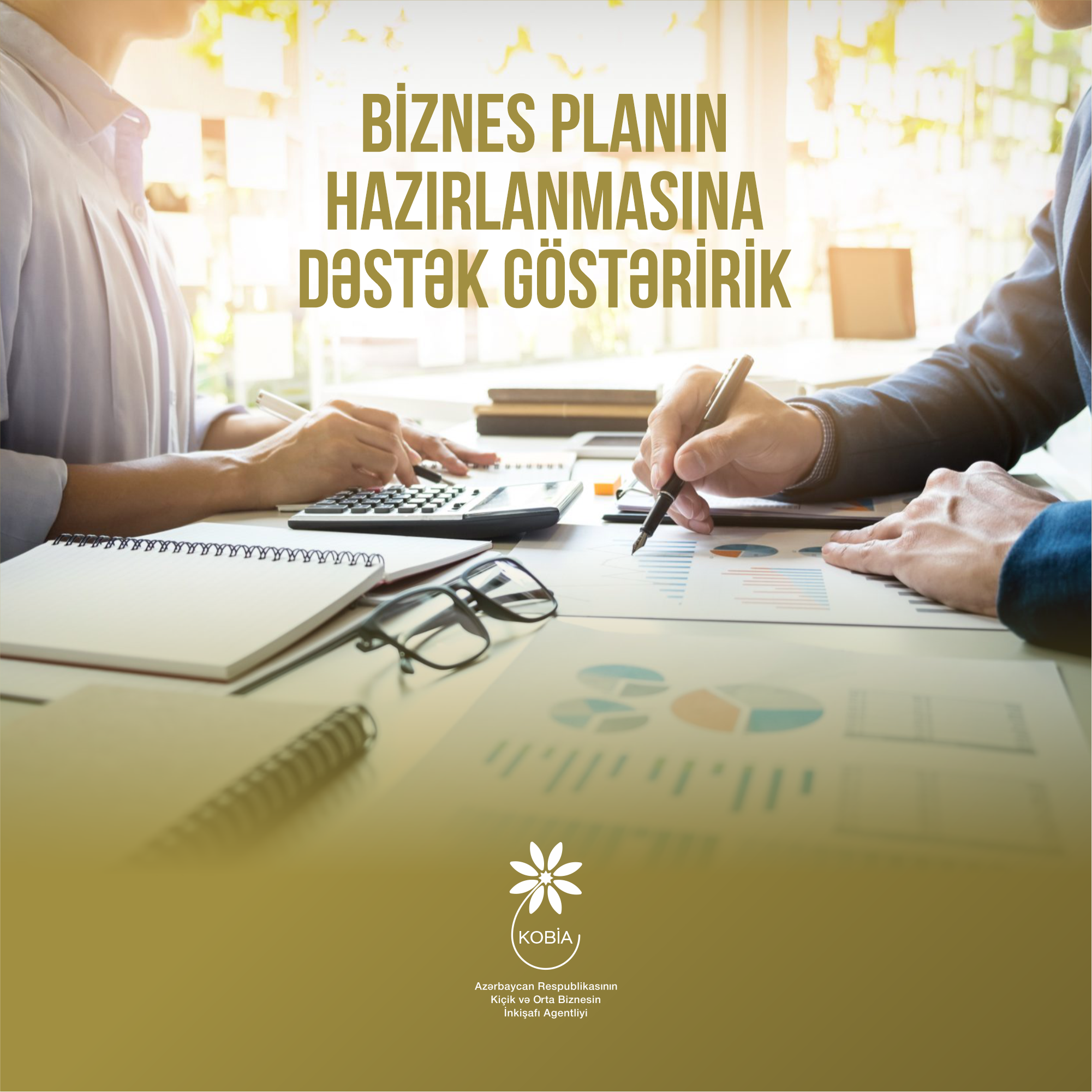 Bu il 220 biznes planın hazırlanması üçün sahibkarlara və biznesə başlamaq istəyənlərə dəstək göstərilib 