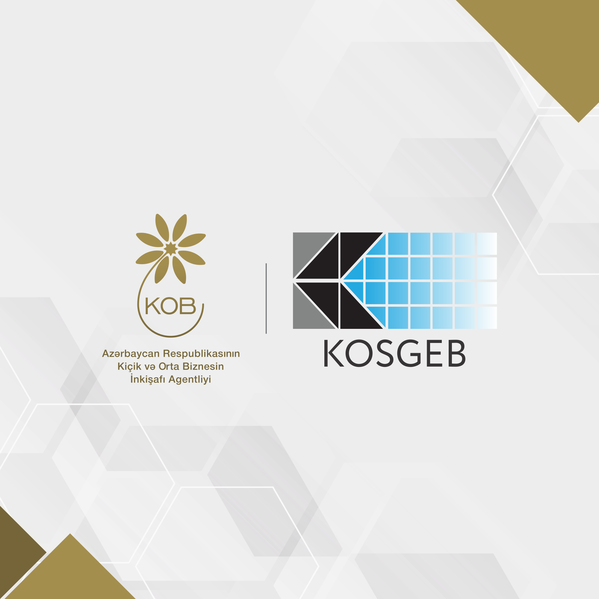 Турецкая компания KOSGEB направила письмо АРМСБ 