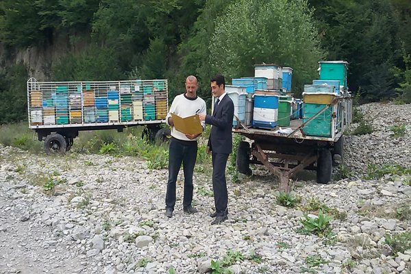 Агентство развития МСБ Азербайджана поддержало предпринимателей-пчеловодов 