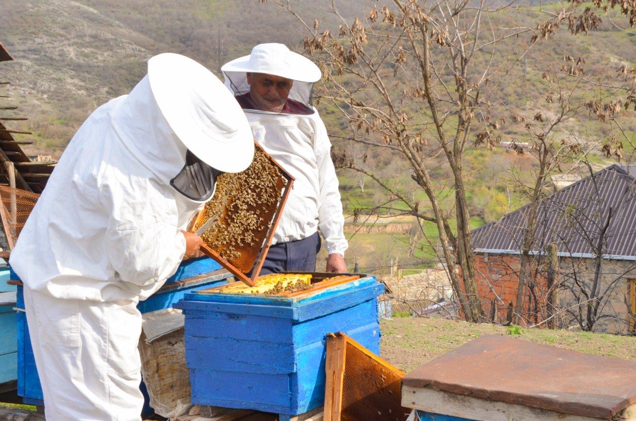 Дашкесанским пчеловодам оказаны аграрные консультационные услуги 